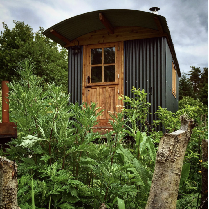 Cabin in Perma forest and Spa - UK