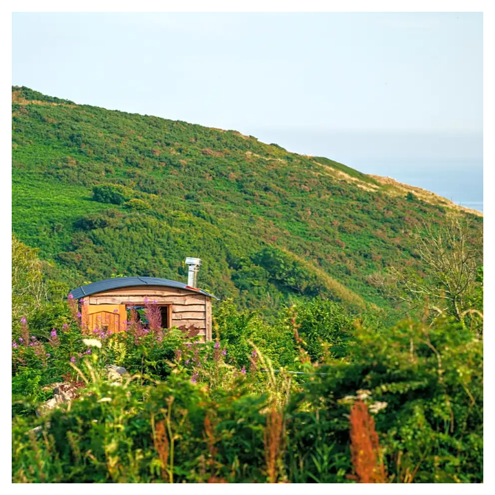 Cabin on a Perma Farm - UK